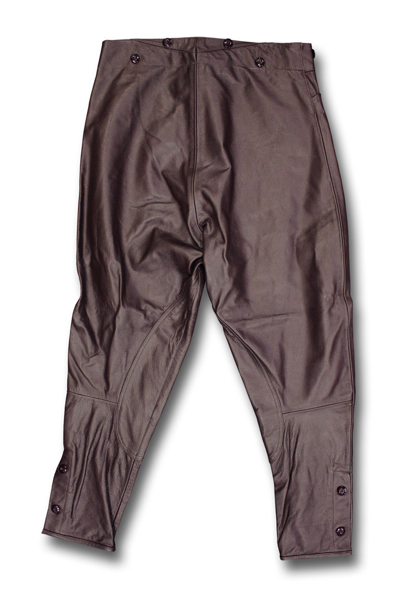 DESPATCH RIDER BREECHES BROWN - BACK